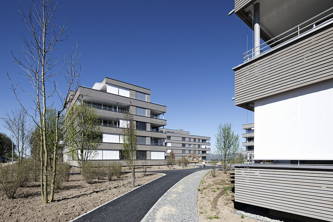 pfarch_Schlattwäldli_Zwischenraum