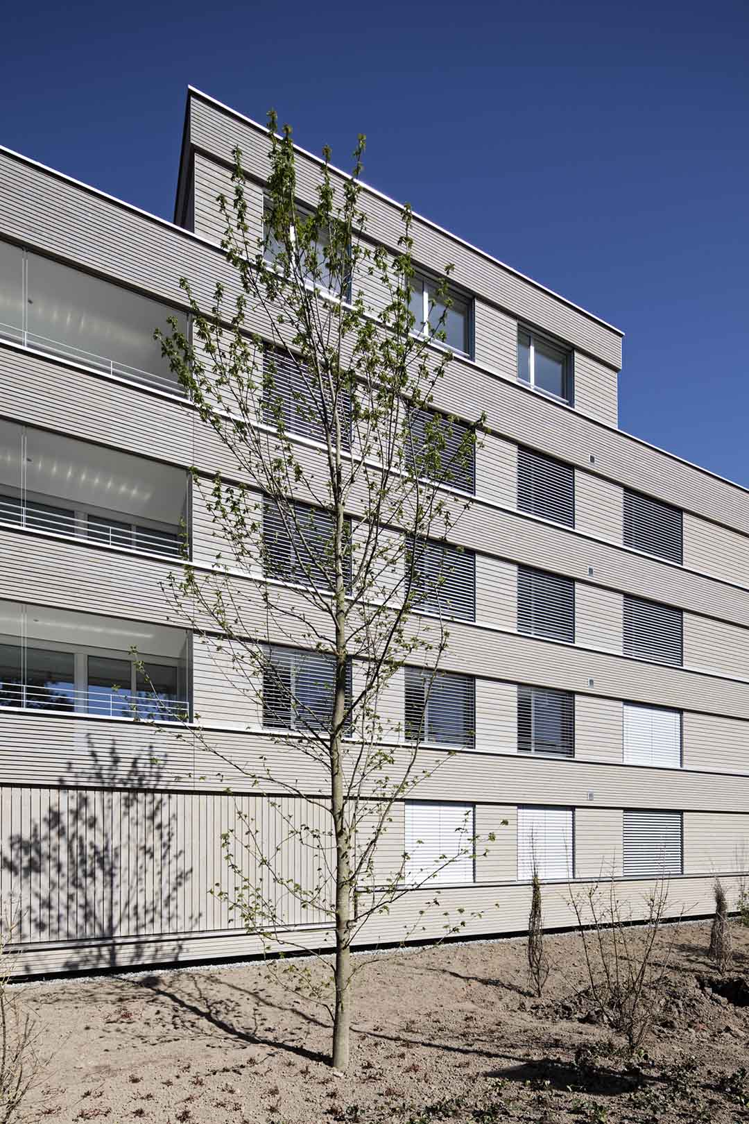 pfarch_Schlattwäldli_Fassadenansicht