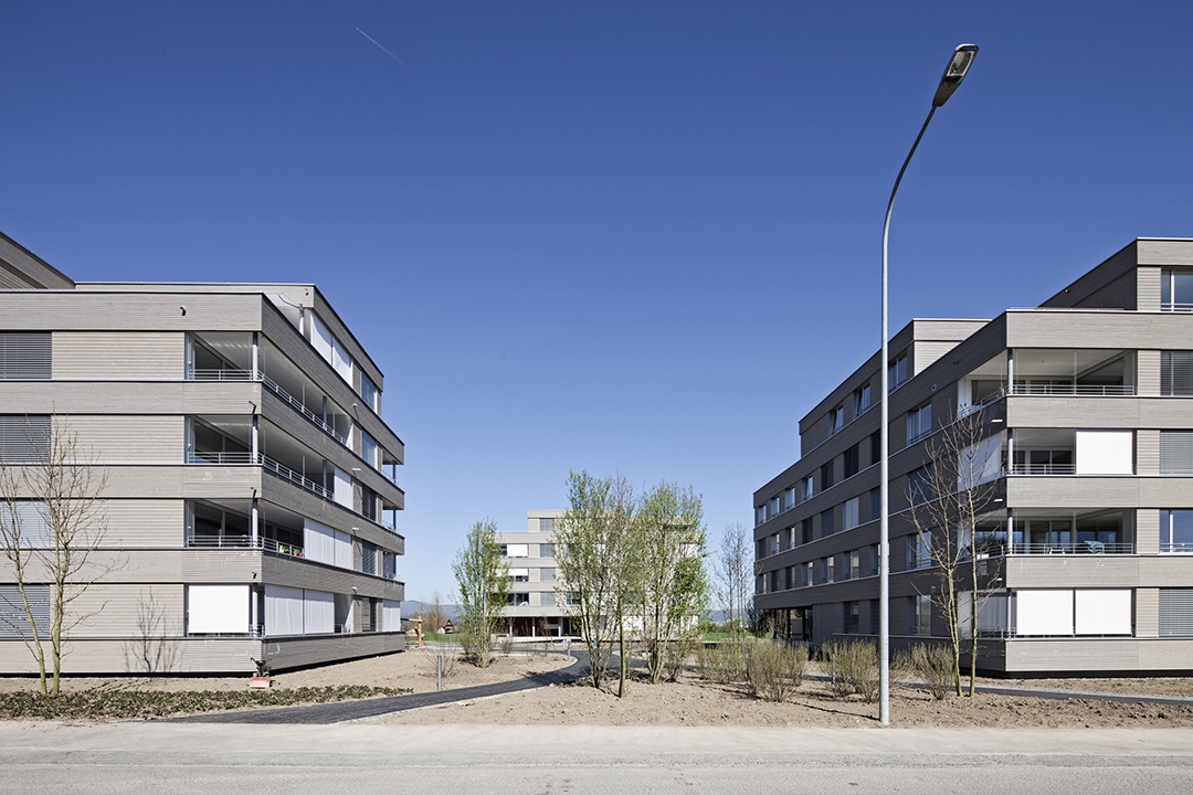 pfarch_Schlattwäldli_Zwischenraum