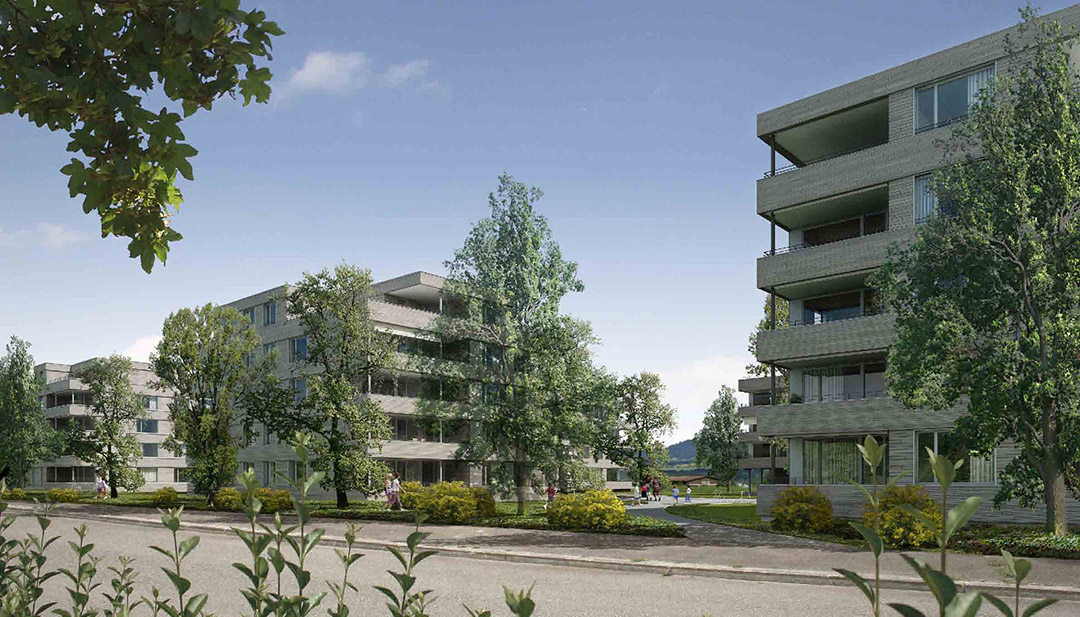 pfarch_Schlattwäldli_Visualisierung_Strassenansicht